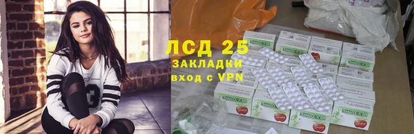 ГАЛЛЮЦИНОГЕННЫЕ ГРИБЫ Вязники