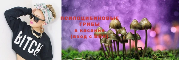 сатива Каменногорск