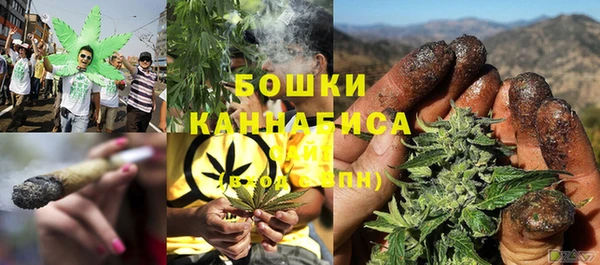 сатива Каменногорск