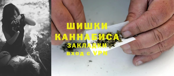 сатива Каменногорск
