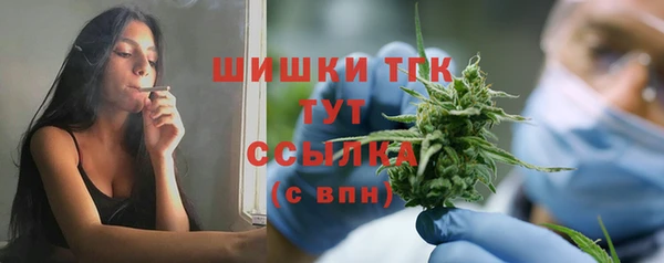 сатива Каменногорск
