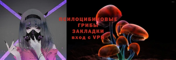 прущая мука Каменка