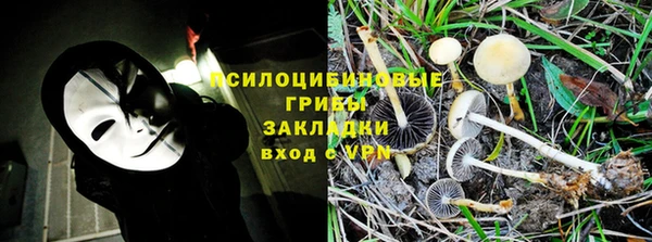 сатива Каменногорск