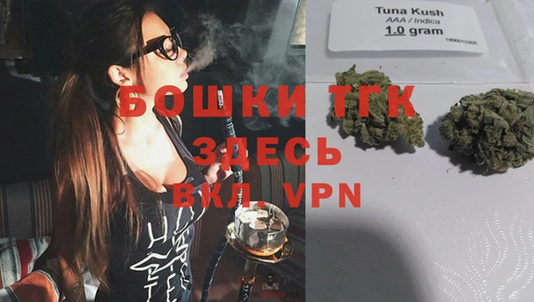 прущая мука Каменка