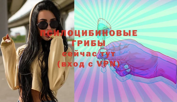 прущая мука Каменка