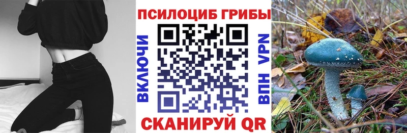 Галлюциногенные грибы Psilocybine cubensis  Осташков 